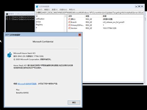 Azure Stack HCI Build 17784 的图像结果