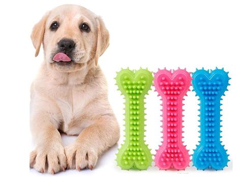 Buy Woofy 6 inches Natural Rubber Squeaky Spike Chewable Bone Toy for ...