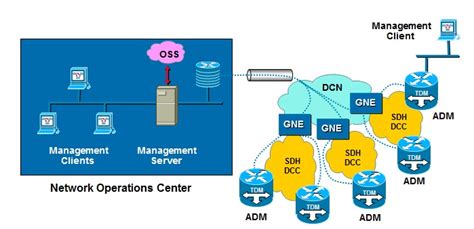 Network Management 的图像结果