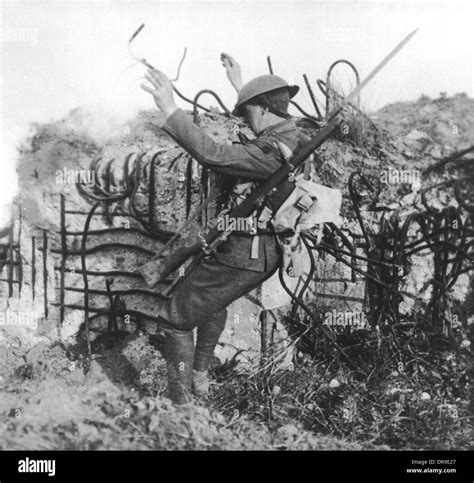 Traps Used In Vietnam at Linda Fujiwara blog