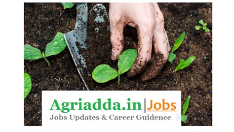 JRF Recruitment- Department of Soil Science (PAU)