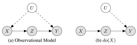 Image result for Do Calculus Examples