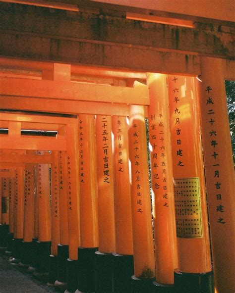 Michelle Lin | ⛩️ Fushimi Inari Taisha on film #35mm | Instagram