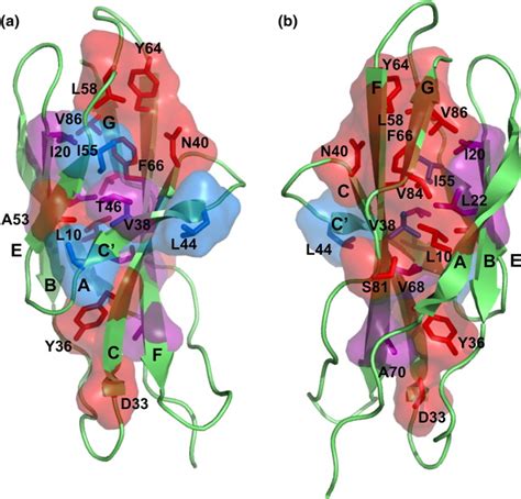 Ca2n Structure 的图像结果