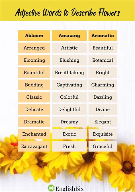 Adjectives Used to Describe a Flower - Nia-has-Park