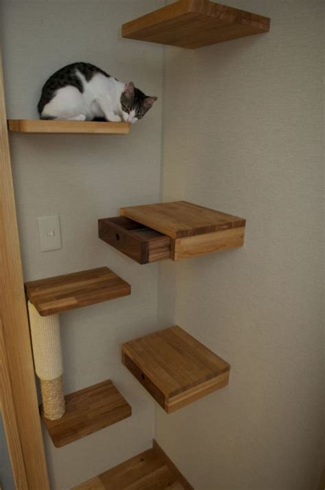 Do It Yourself Cat Wall Shelves at Toni Esser blog
