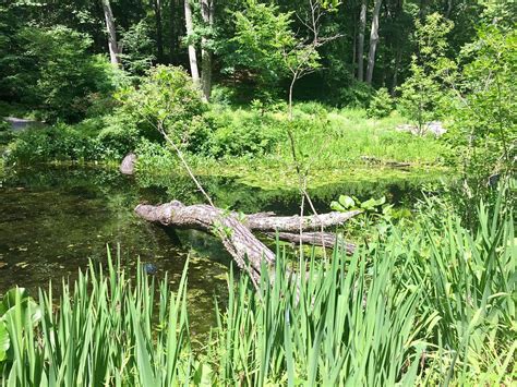 THE 30 BEST Places to Visit in Framingham (2025)