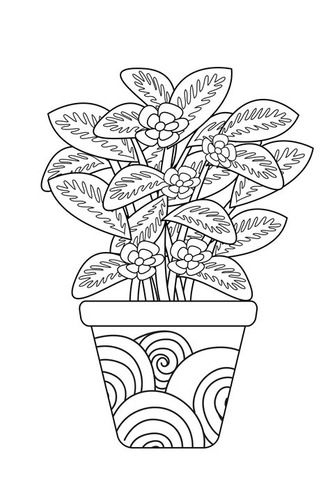 Houseplant Coloring Pages This Listing Offers 38 High-quality Indoor ...