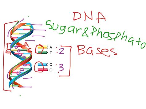 Image result for Basic Science Examples