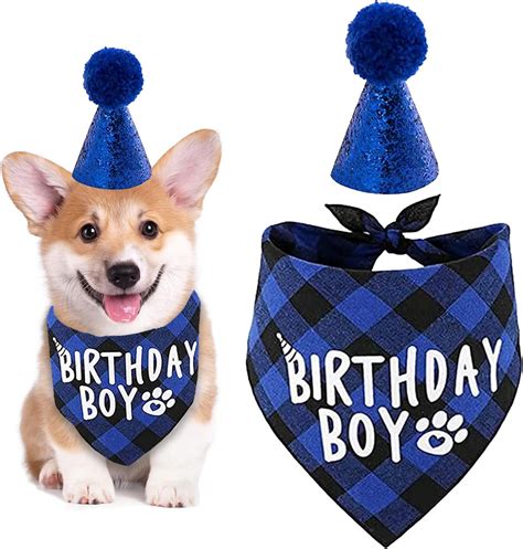 Dog Birthday Bandana, Boy Dogs Birthday with Hat, Pets Birthday Party ...