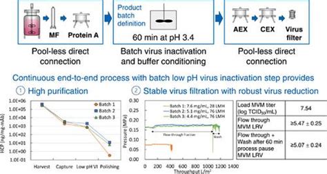Virus Purification Process 的图像结果