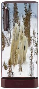 urban colours of rajasthan Single Door Fridge Sticker (60cm x 120cm ...