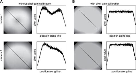High Speed Camera Sensor 的图像结果