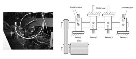 Enhanced Rolling Bearing Fault Diagnosis Combining Novel Fluctuation ...