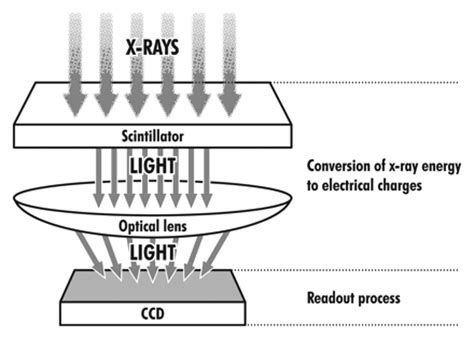 Image result for Open CCD File