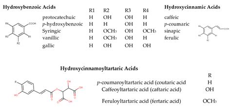 Influence of Vinification Strategies on Wine Polyphenolic Profile ...