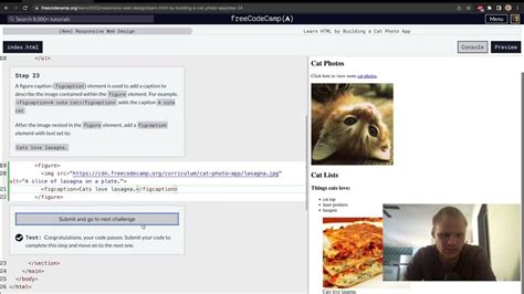 Image result for Freecodecamp 12 HTML Guide