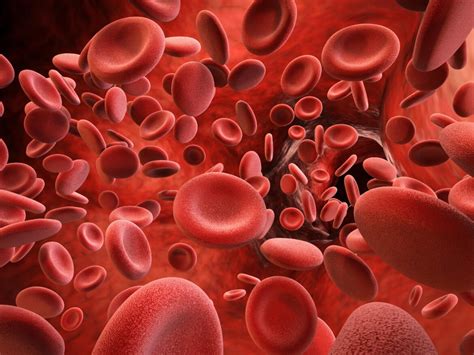 India Achieves Major Breakthrough in Treating Severe Hemophilia A ...
