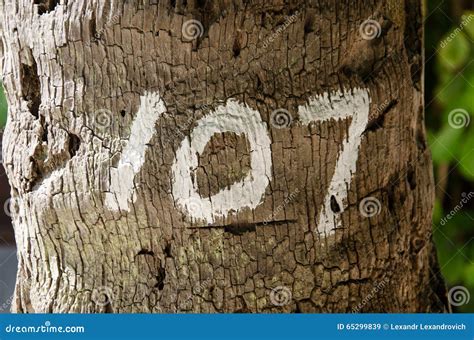One Hundred and Seven Number Painted on Palm Tree Stock Image - Image ...
