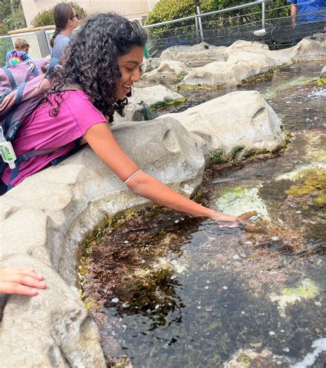 UCSD Session 1 (June 29-July 11, 2025) - Summer Springboard