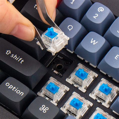 Image result for Switch Keyboard Games