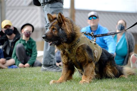 Calgary Police Service 的图像结果