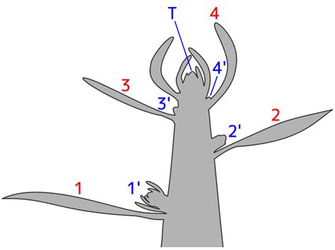 Image result for JSON Metadat Example