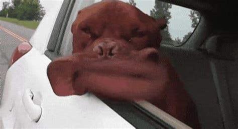 Entry #3 by sacsangade for Reduce Gif sizes - less than 50kb if ...