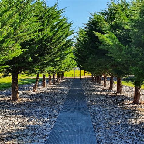 SOLDIERS MEMORIAL AVENUE (2026) All You Need to Know BEFORE You Go ...