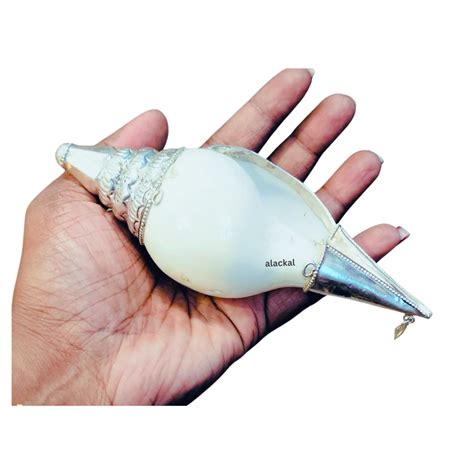 AUTHENTIC PURE SILVER SHANKH | SILVER CONCH SHELL | SHANKHU FOR POOJA ...