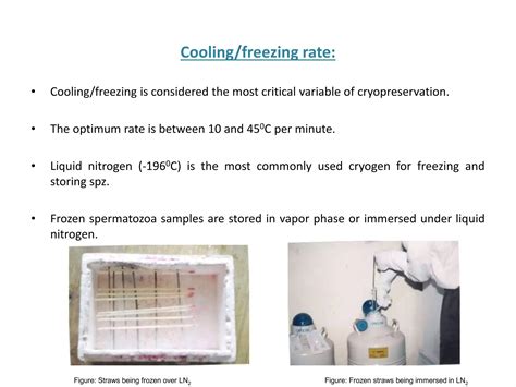 17 - Cryopreservation of fish gametes.pptx