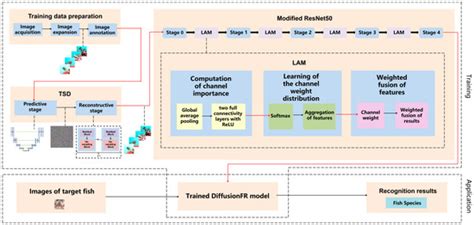 DiffusionFR: Species Recognition of Fish in Blurry Scenarios via ...