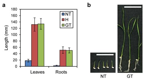 Changes in Primary and Secondary Metabolite Levels in Response to Gene ...
