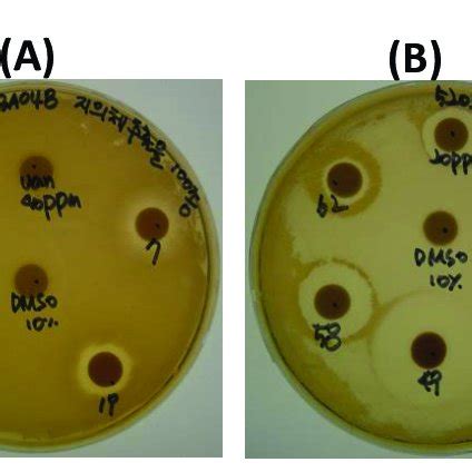 Image result for Disk Diffusion Method Procedure