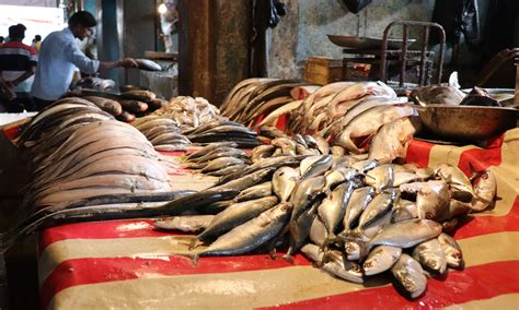 Does our Fish Contains Formalin or not? – The Softcopy