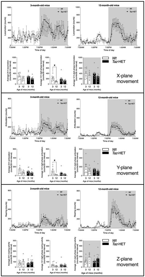 Phenotypic Characterization of Female Carrier Mice Heterozygous for ...