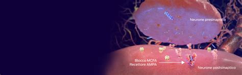 Epilessia nel cane | Scienza della nutrizione | Purina Institute