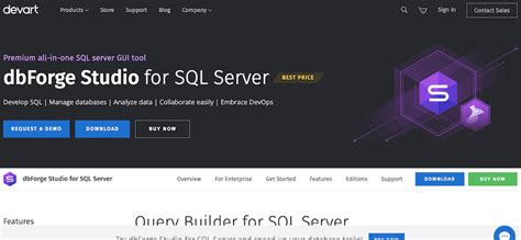Image result for SQL Developer Version 19 Query Builder