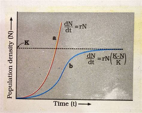 ecology - Value of r (intrinsic rate of natural increase) - Biology Stack Exchange