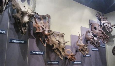 BURPEE MUSEUM OF NATURAL HISTORY (2026) All You Need to Know BEFORE You ...