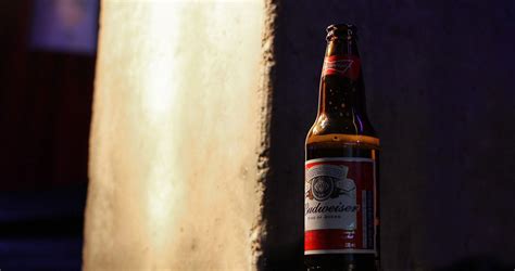 Modern Manners 的图像结果