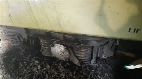 ஒடிசா | எருமை மாடு மீது மோதி பயணிகள் ரயில் தடம்புரண்டது | passenger ...