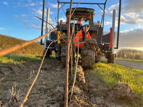 Image result for Small Tree Planting Machine