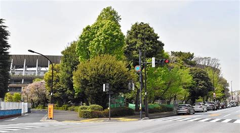 Zahl der geplanten Baumfällungen für Bauprojekt in Tokyo drastisch ...