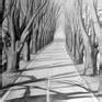 parkway Drawing by Violeta Vollmer | Saatchi Art
