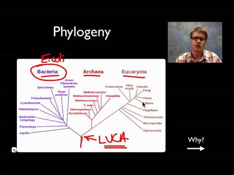 Image result for Domain Science Definition