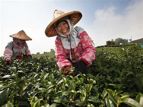 GOLDEN FOUNDATION TOURS-DAY TOUR (2025) All You Need to Know BEFORE You ...