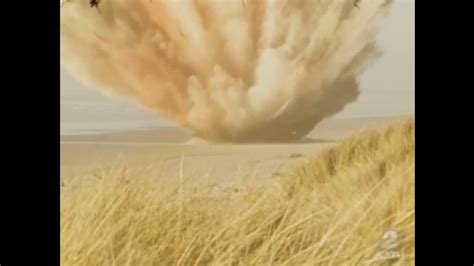 Image result for Exploding Whale Meme