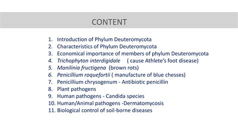 Phylum Deuteromycota | PPTX
