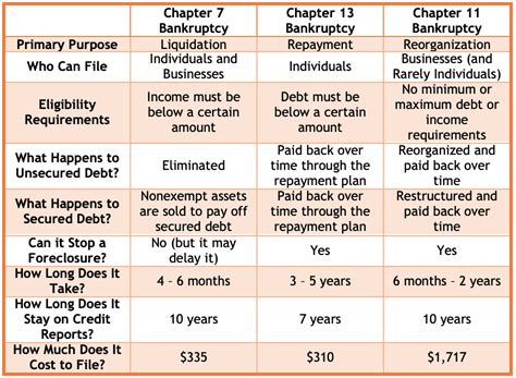 Explaining Chapter 11 Bankruptcy 的图像结果